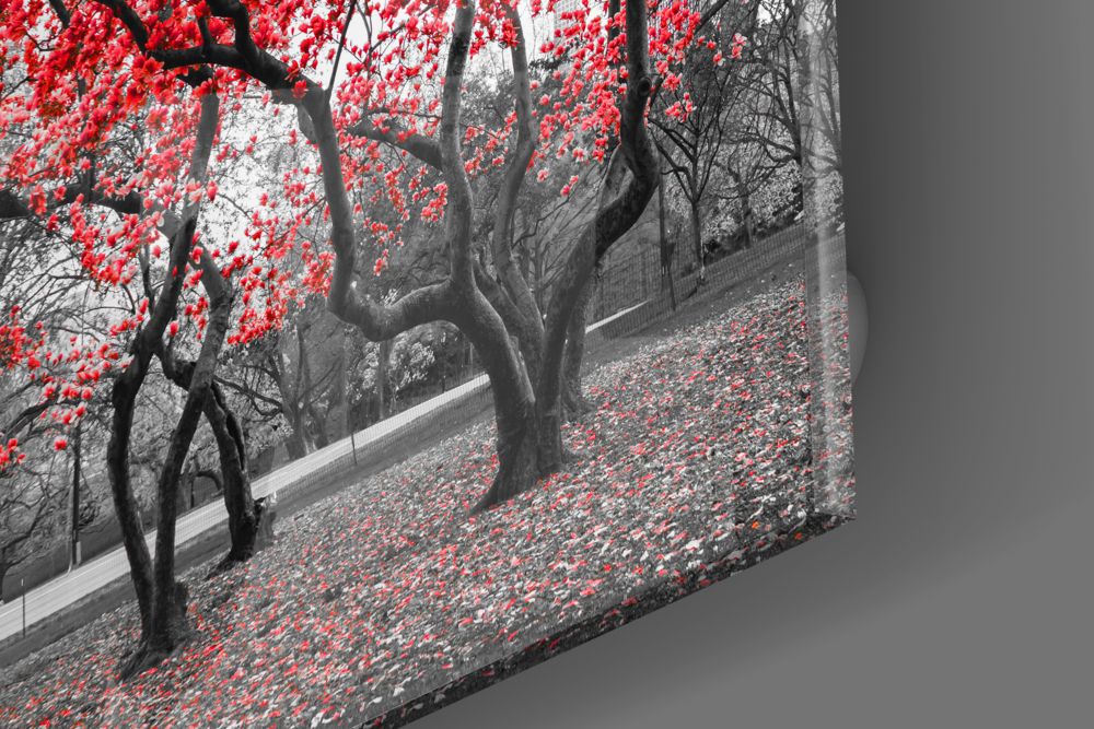 Red Tree Glass Painting