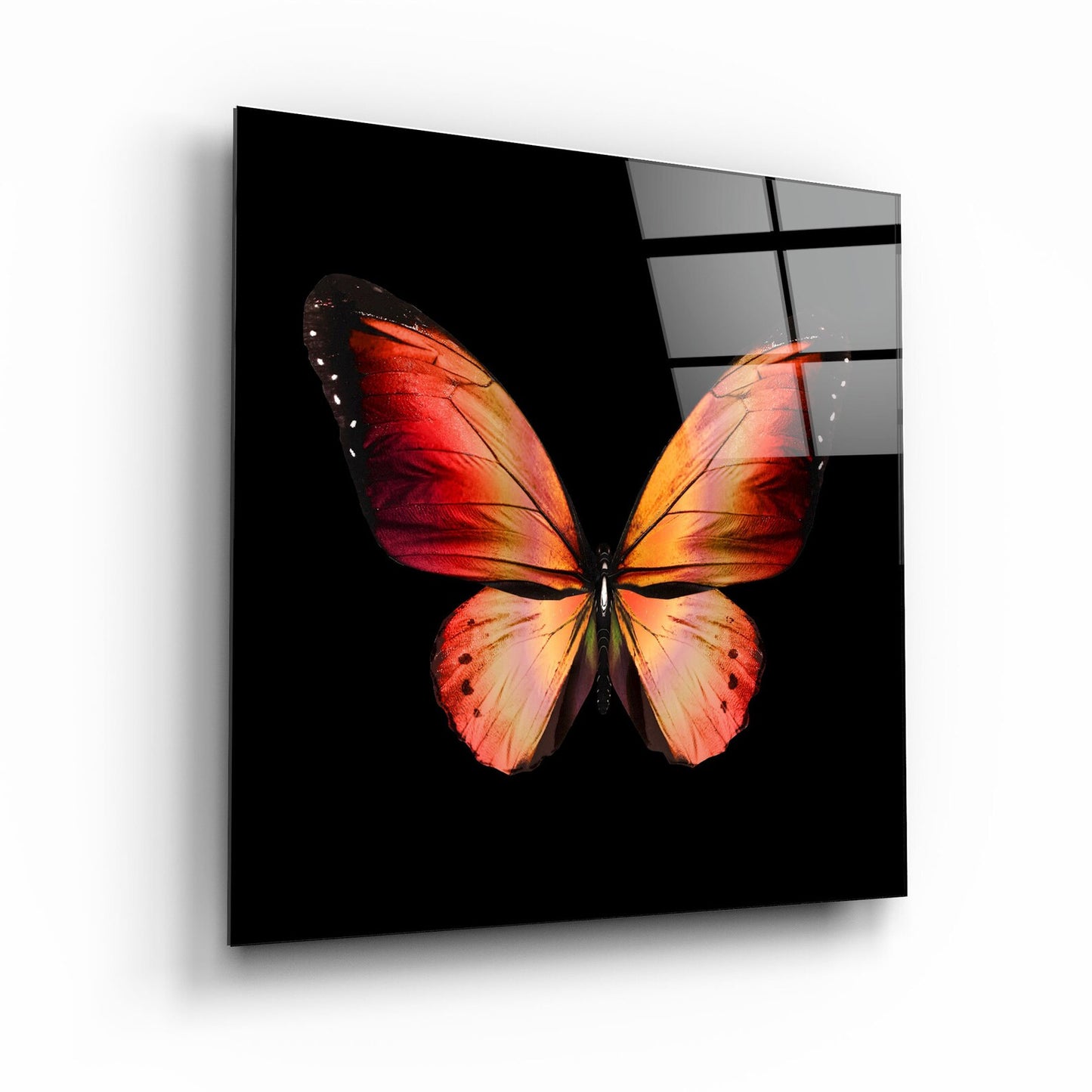 Butterfly Orange Glass Printing Wall Art